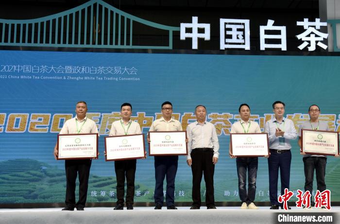 圖為大會(huì)上舉行2020年度中國白茶產(chǎn)業(yè)發(fā)展示范縣授牌儀式?！∪钯幻?攝